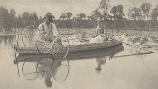 Setting the Bow-Net
