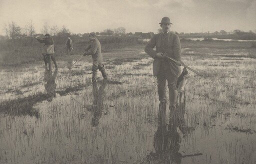 Snipe-Shooting