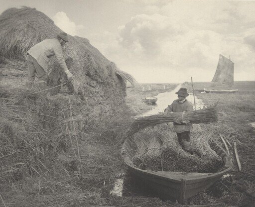Ricking the Reed
