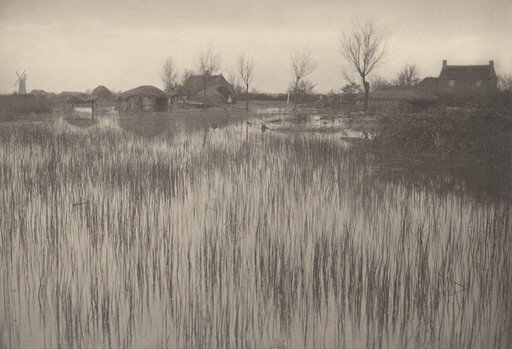 A Rushy Shore