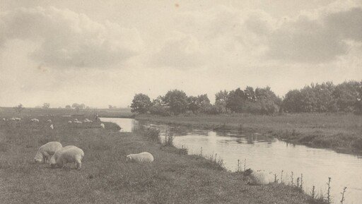 On the River Bure