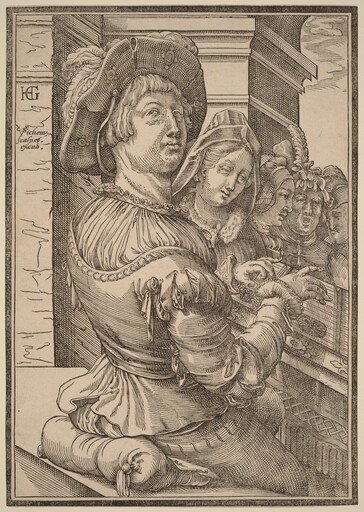 A Young Man Playing a Psalterium