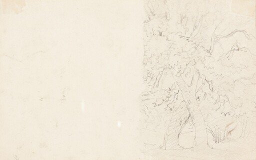Trees [verso]