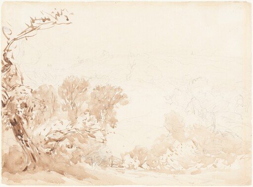 Hillside and Trees
