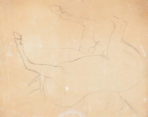 Study of a Horse [verso]
