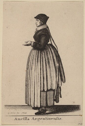 Ancilla Argentinensis