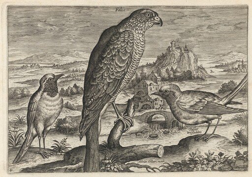 Falcon and Robin Redbreast or Redstart