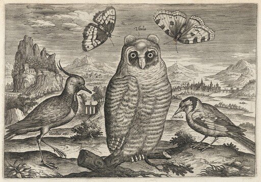 Lapwing, Long Eared Owl, and Goldfinch