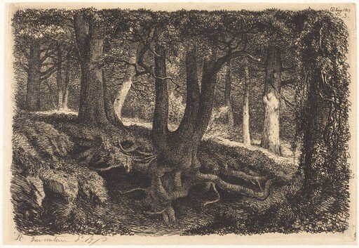 L'arbre aux racines (Tree with Roots)
