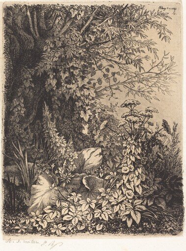 La bardane au saule (Burdock with Willow)