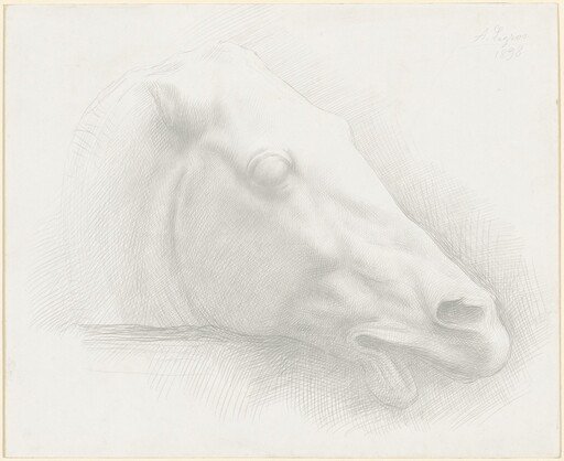 Head of a Horse from the Parthenon