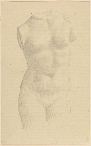Torso