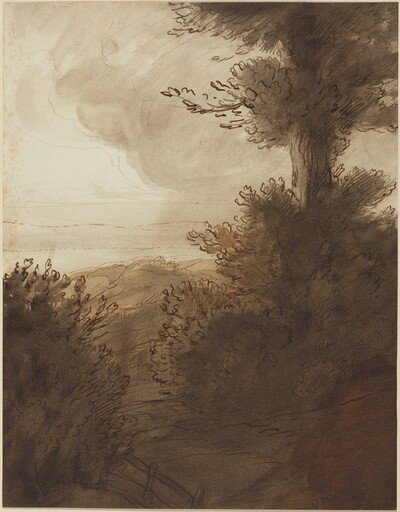The Big Tree