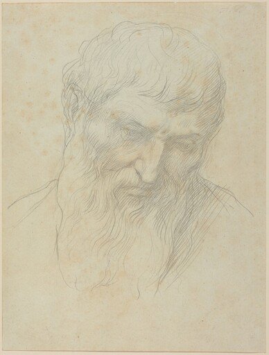 Head of a Man with Curly Hair and Beard