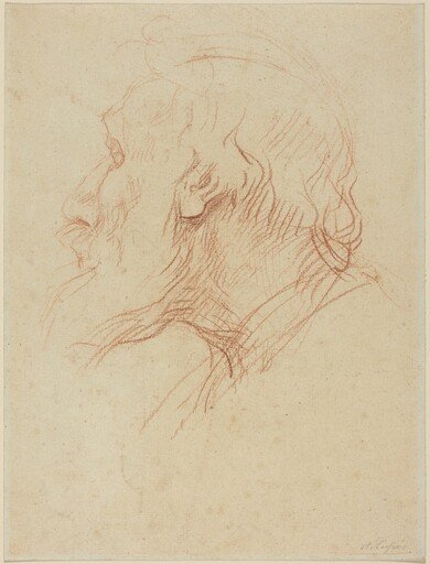 Study of a Beggar