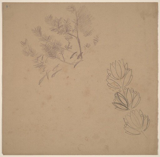 Study for a Border Design with a Sketch of a Tree