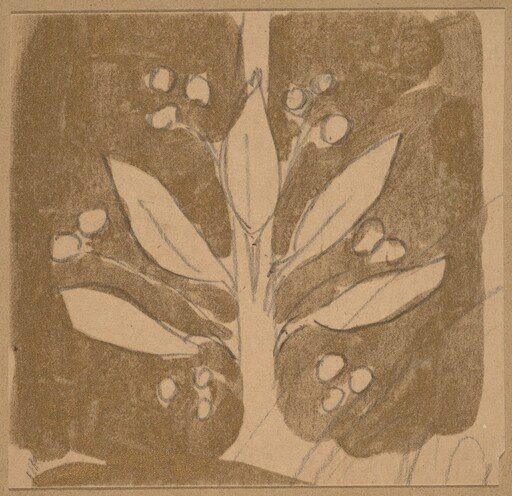 Study for a Border Design