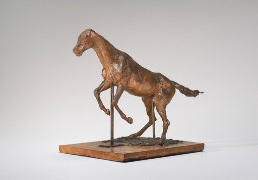 Horse Balking (Horse Clearing an Obstacle)
