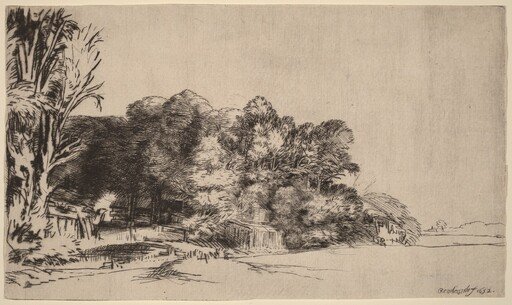 Clump of Trees with a Vista