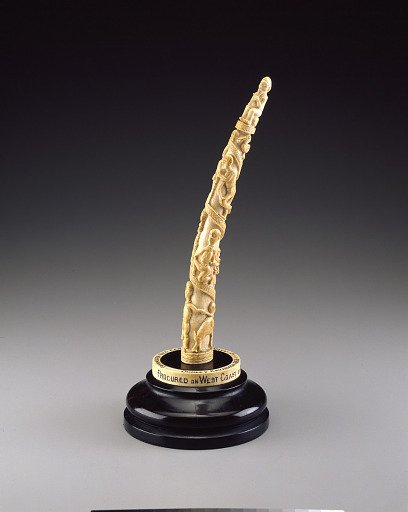 Tusk