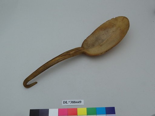 Spoon