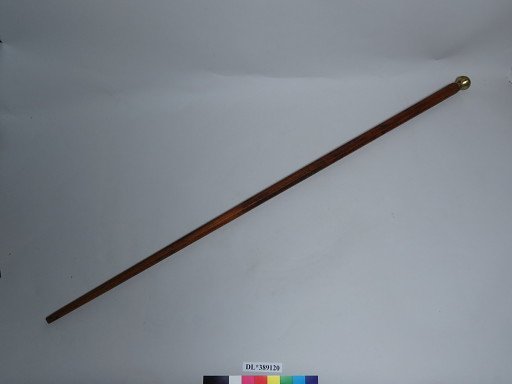 stick, walking