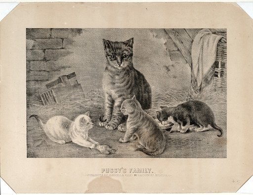 Pussy's Family