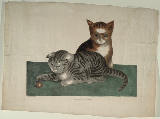 Untitled (Two Kittens)