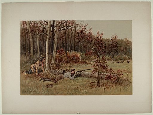 A Wild Turkey Hunt