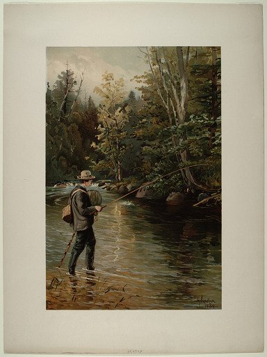 Trout Fishing