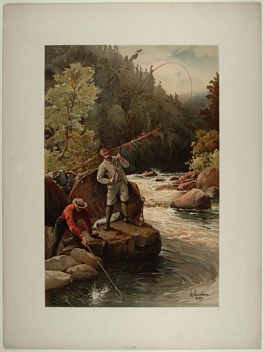 Killing Salmon