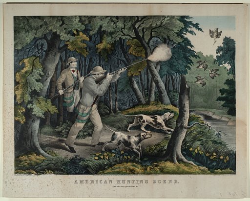 American Hunting Scene. Woodcock Shooting