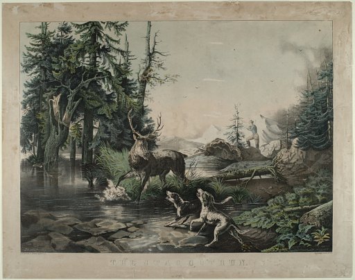 The Stag Outrun