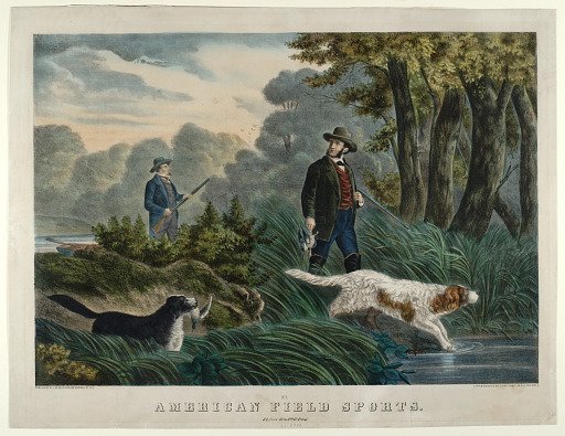 American Field Sports