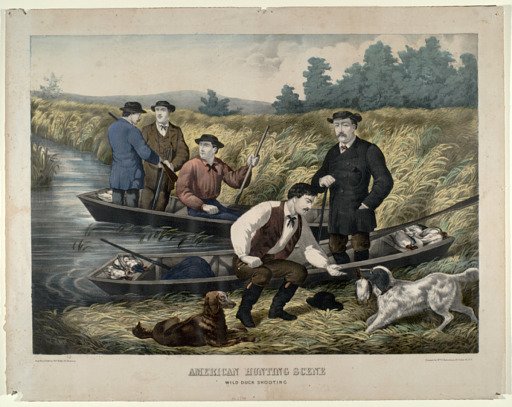 American Hunting Scene Wild Duck Shooting