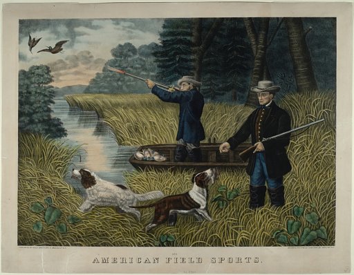 American Field Sports