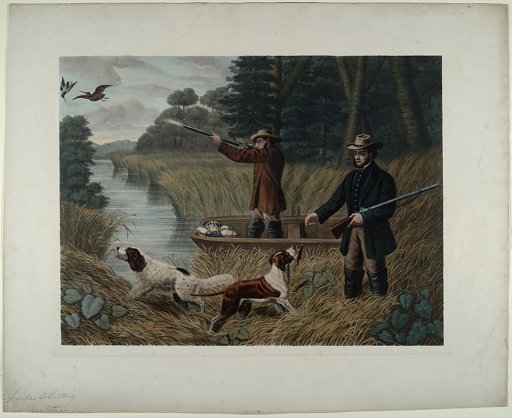 [Snipe Shooting]