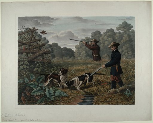 [Partridge Shooting]