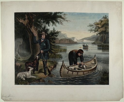[Duck Shooting]