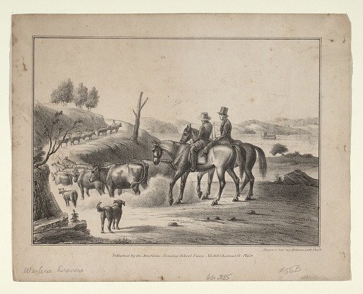 Western Drovers