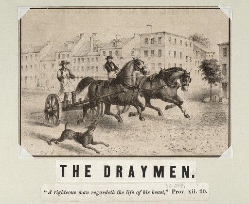 The Draymen