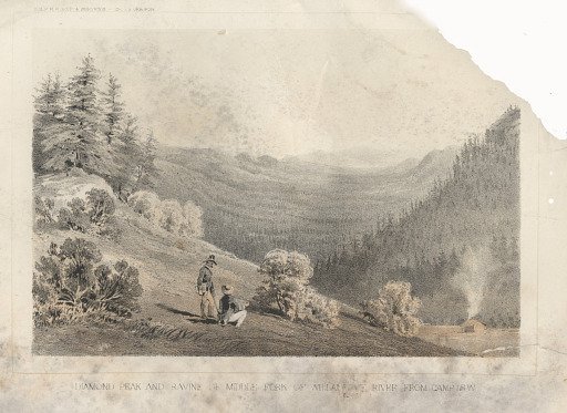 Diamond Peak and Ravine of Middle Fork of Willamette: River from Camp 48 W