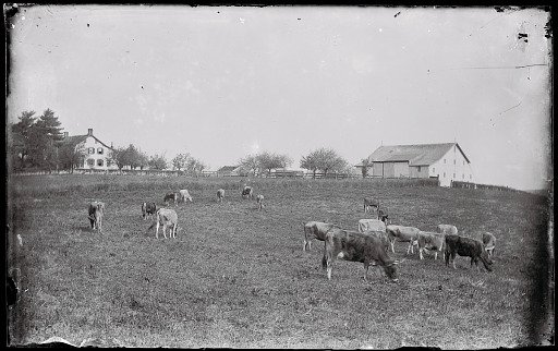 Hussey Farm