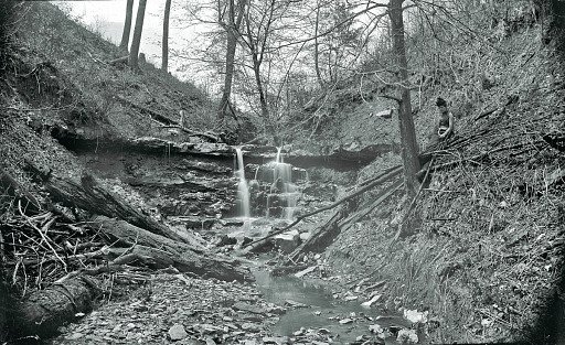 Lady by a Creek