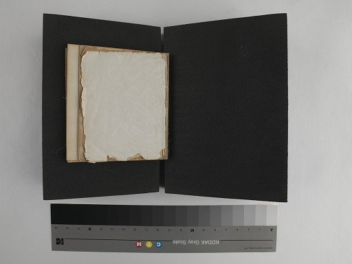 pages, carte-de-visite album