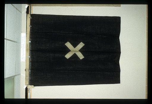 Designating Flag, 2nd Division, 6th Army Corps