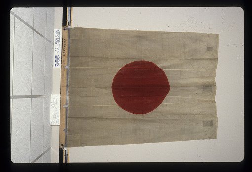 Designating Flag, 1st Division, 1st Army Corps