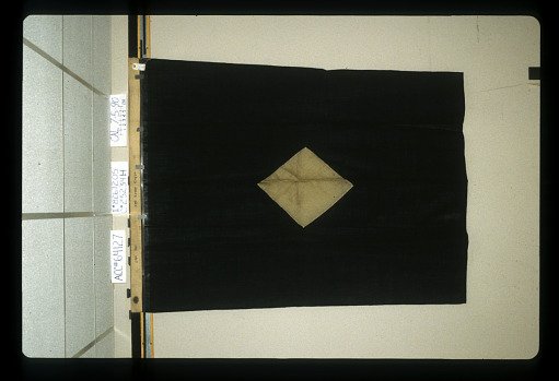 Designating Flag, 2nd Division, 3rd Army Corps