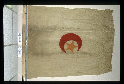 Designating Flag, 1st Division, 7th Army Corps