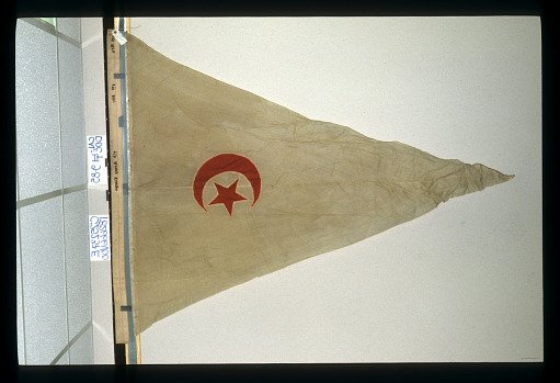 Designating Flag, 1st Brigade, 1st Division, 7th Army Corps